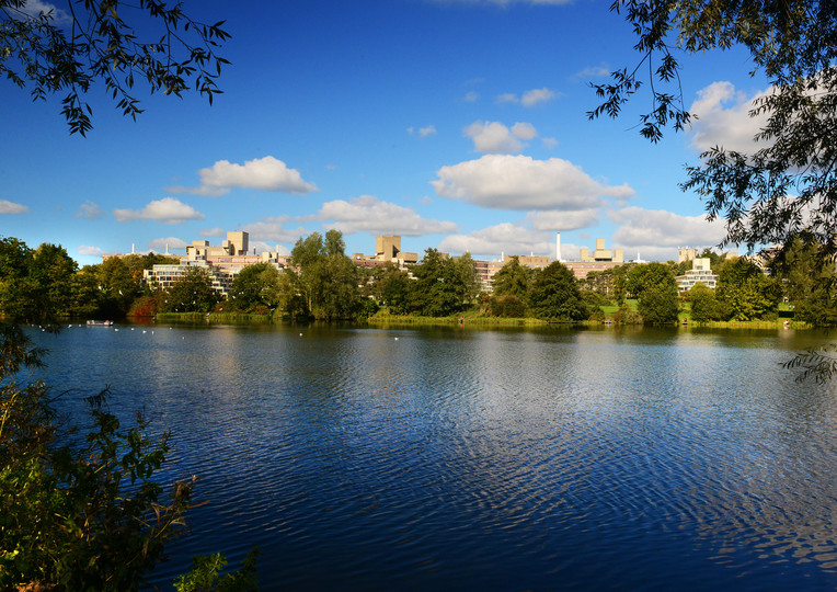 Ziggurats over UEA Lake